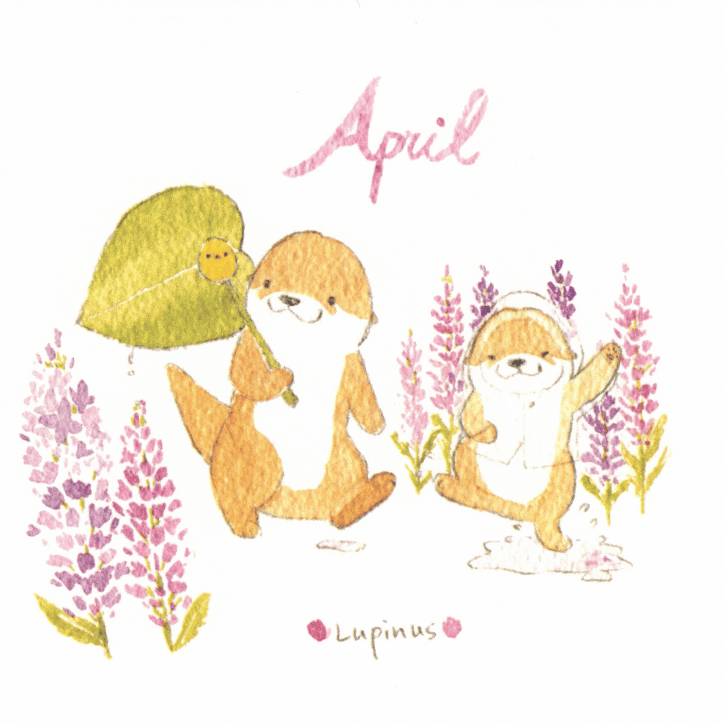 Bibi&Tata‘s floral year square cards - April, May, June