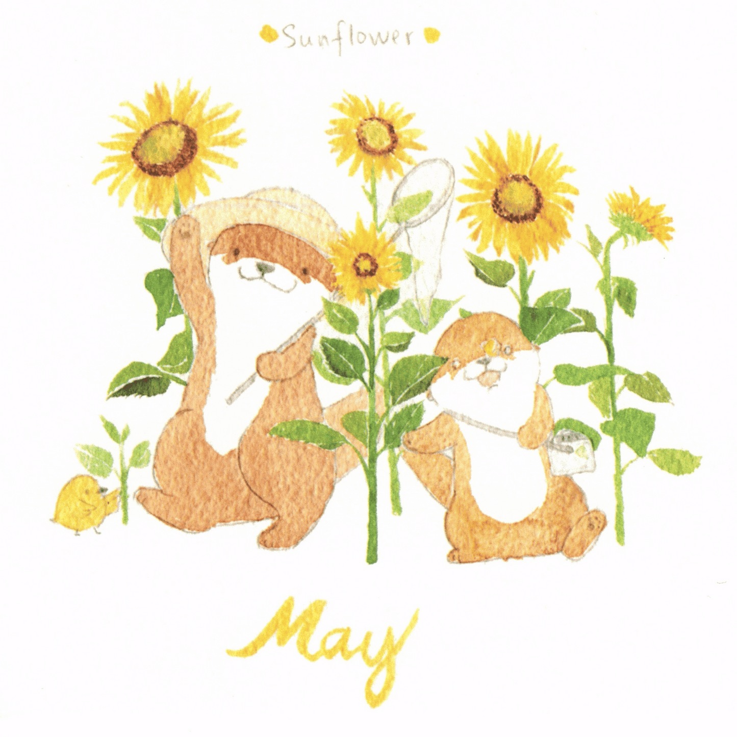 Bibi&Tata‘s floral year square cards - April, May, June
