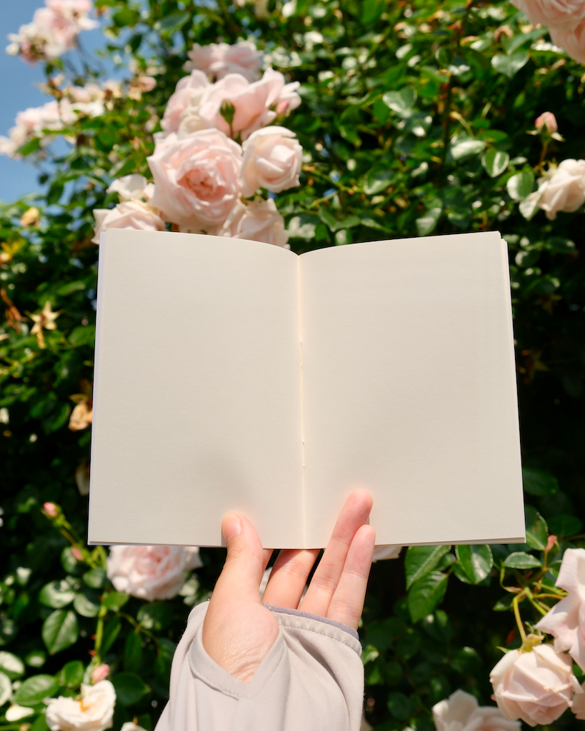 Koalawei notebook
