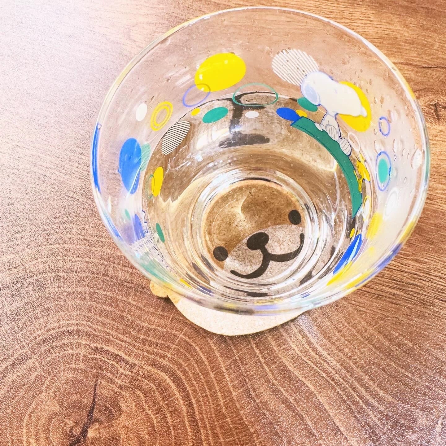 Shine Otter Cork Coaster – Absorbent & Insulated