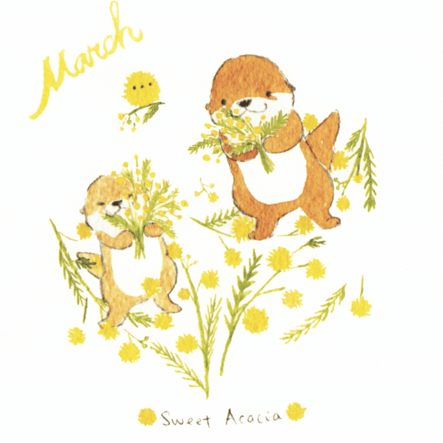 Bibi&Tata‘s floral year square cards - Jan, Feb, Mar