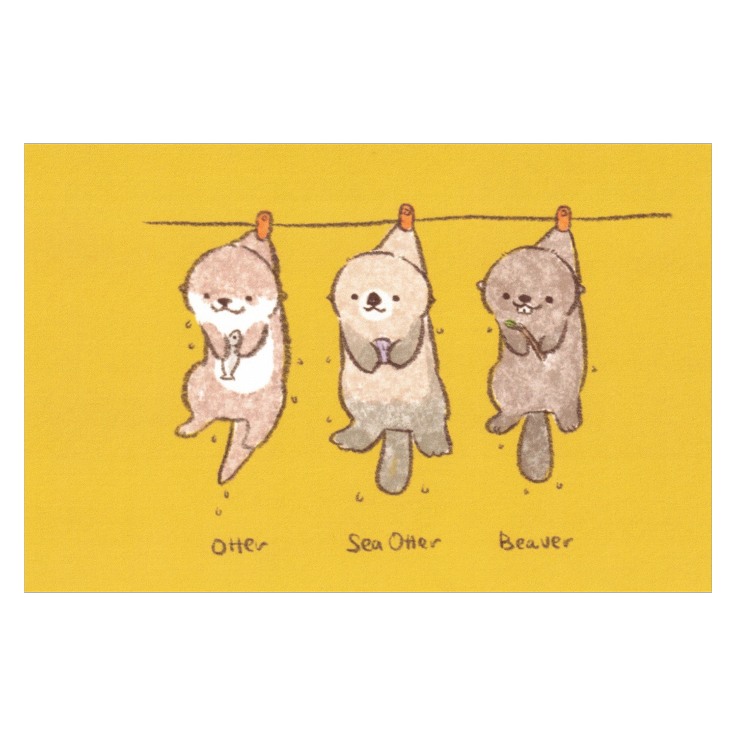 Bibi&Tata Otter, Sea Otter and Beaver Hanging Clothes Postcard