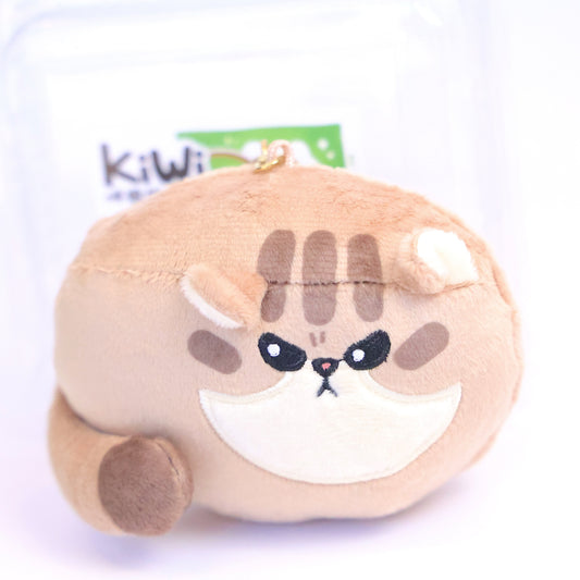 kiwi cat